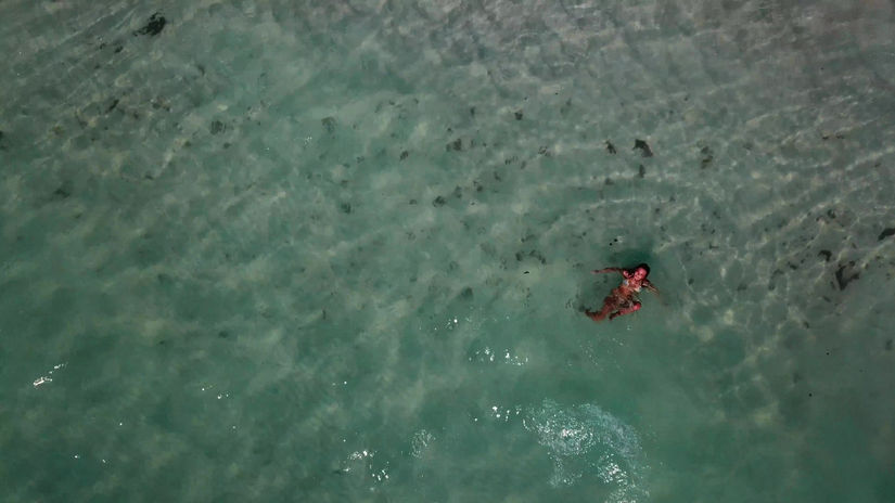 Clearwater Drone Video